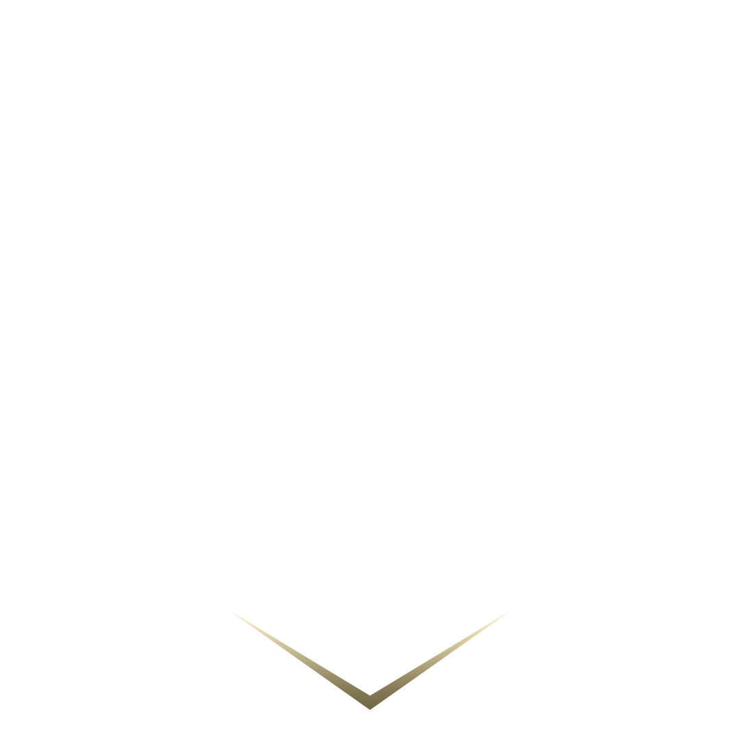 Holdfy Logo